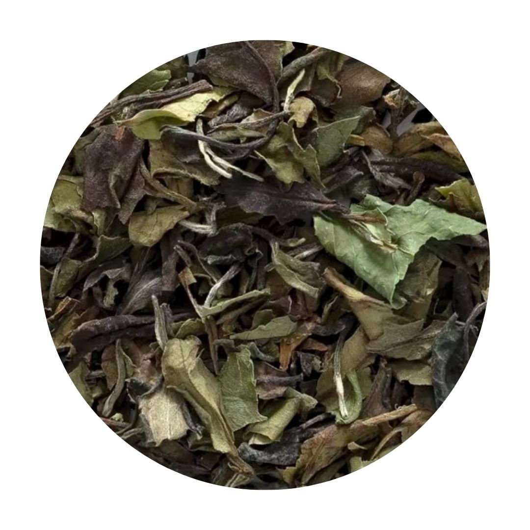 Bai Mudan White Tea